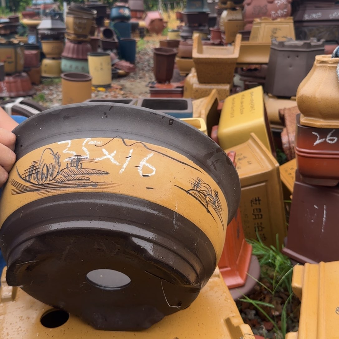 紫砂花盆紫砂花盆花盆盆景盆栽