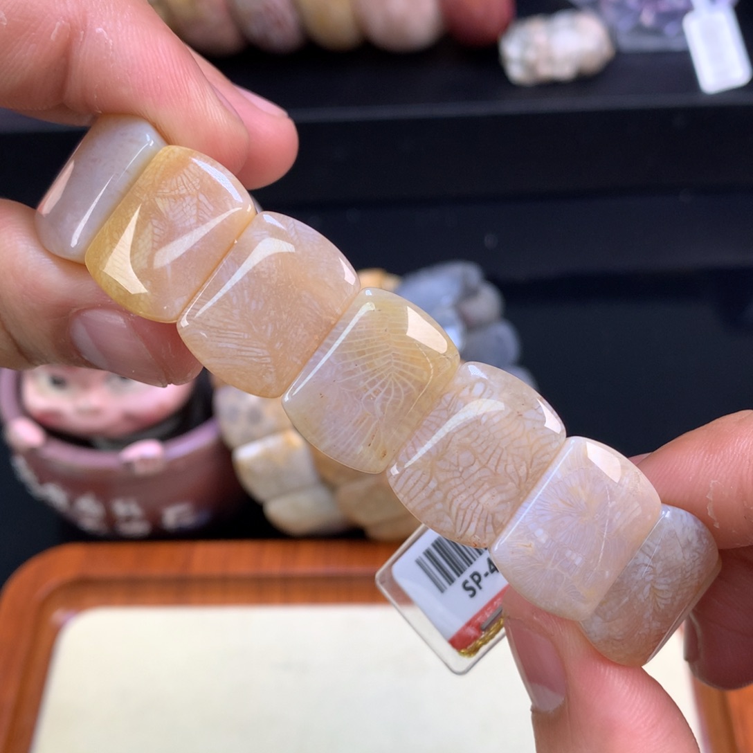 硅化珊瑚（珊瑚玉）未镶嵌颈饰35号果冻凤尾