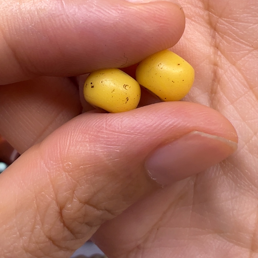娜*直发专拍专用链接