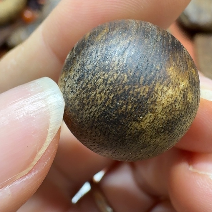 大叶紫檀（黑酸枝木类）