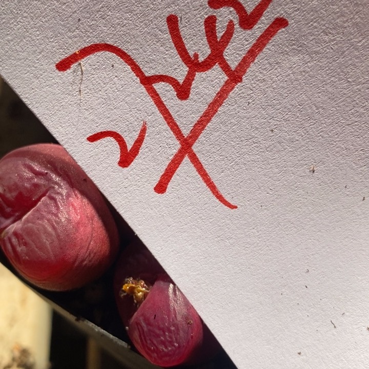 27242有伤一组一组