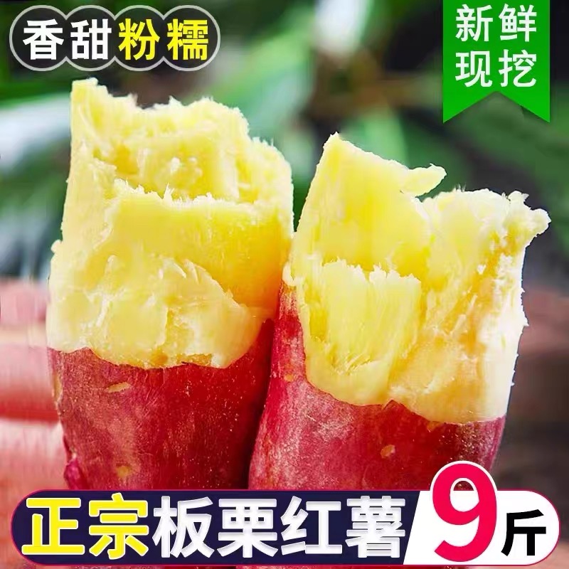 【买5斤送4斤到手9斤】新鲜现挖富硒沙地板栗红薯黄心小香薯粉糯甜