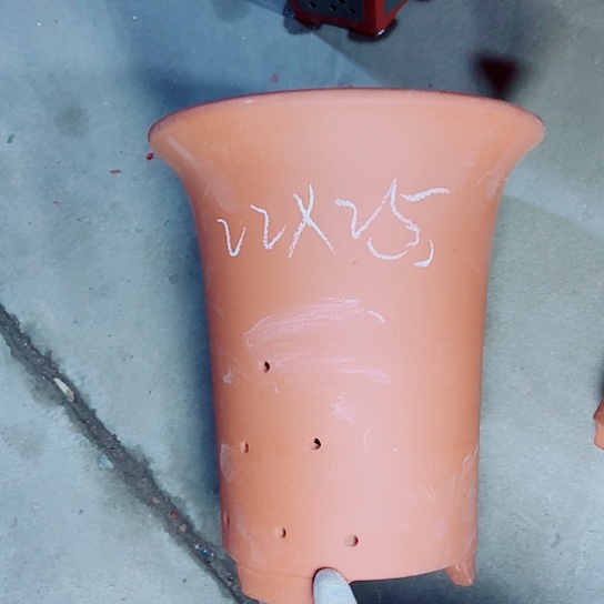 红陶紫砂紫砂紫砂