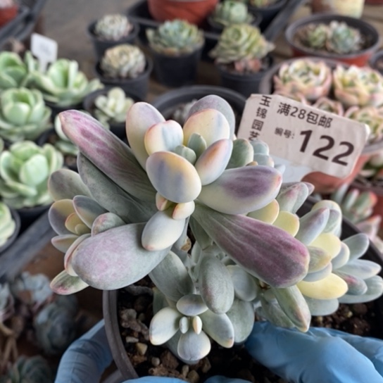 122一一一一一一一一一