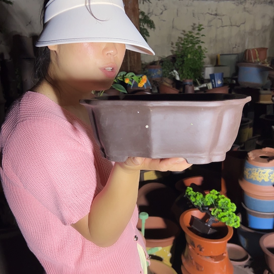 28莲花花盆花盆花盆