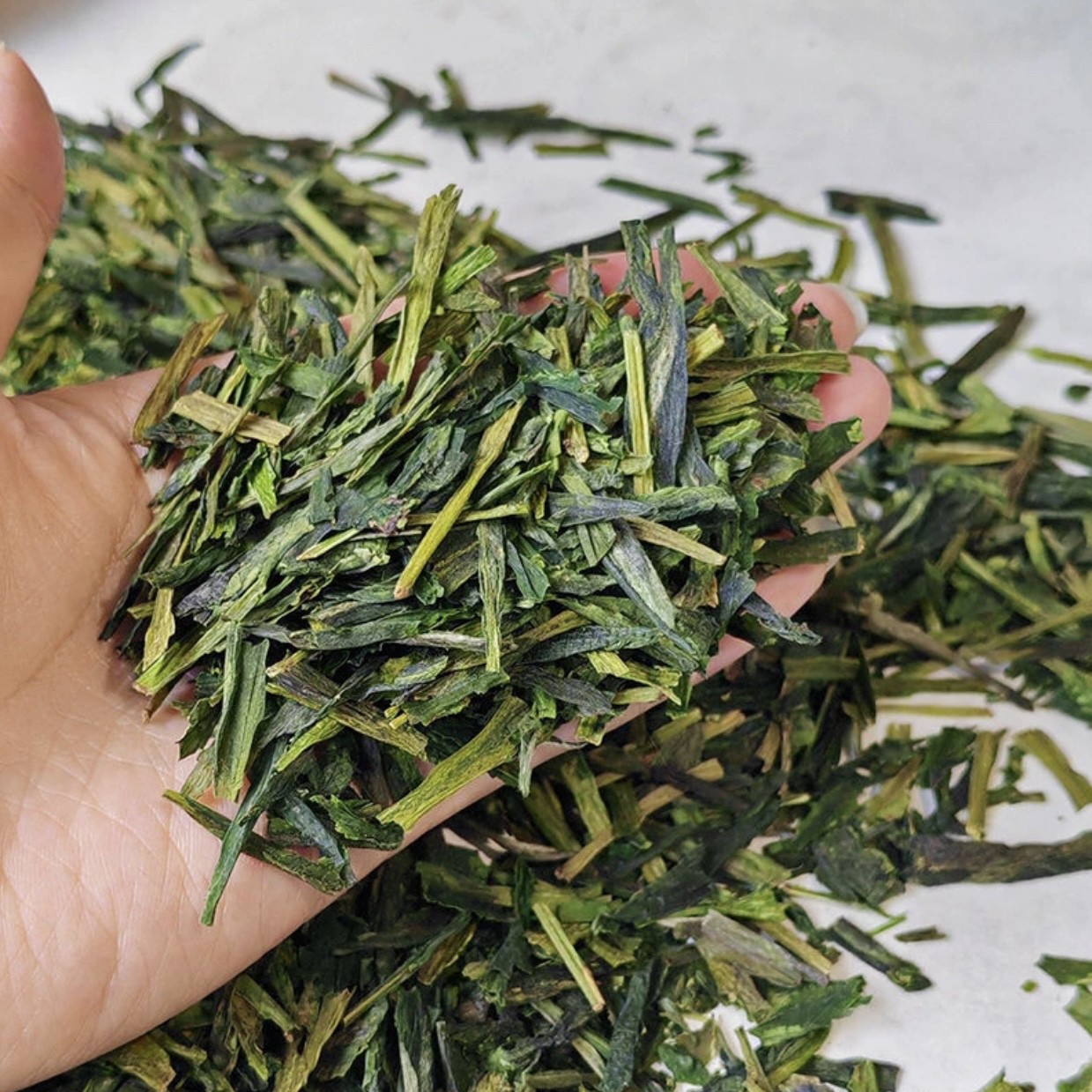 【1-5号混合的断枝】都是谷雨批次的太平猴魁碎片 口感一样 