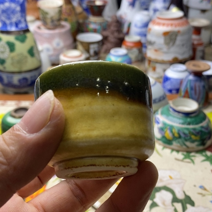 是因为它具有非常丰富且独特魅力并且