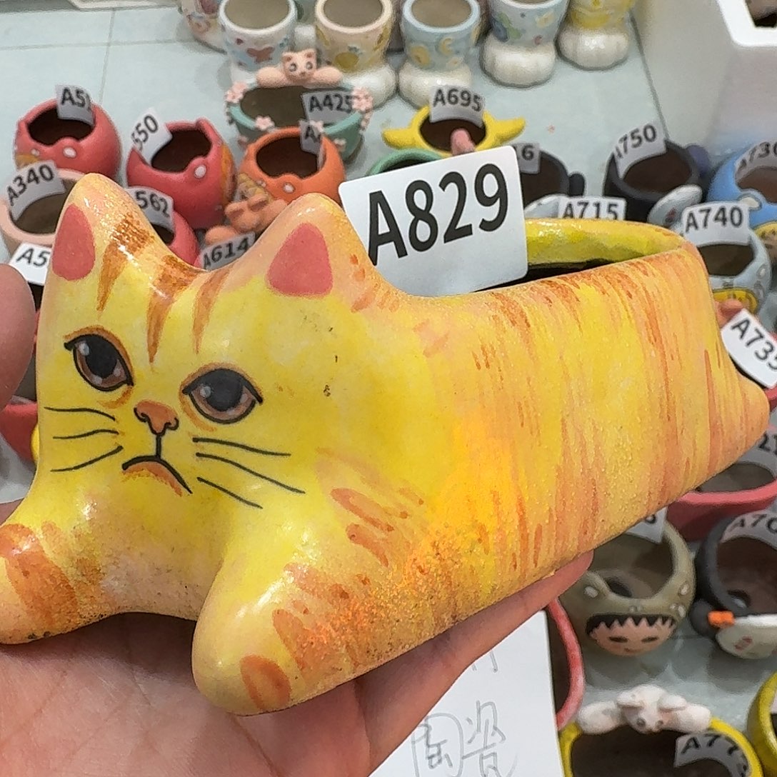 手工瑕疵多肉花盆