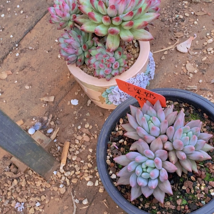 我就觉得他在和别的