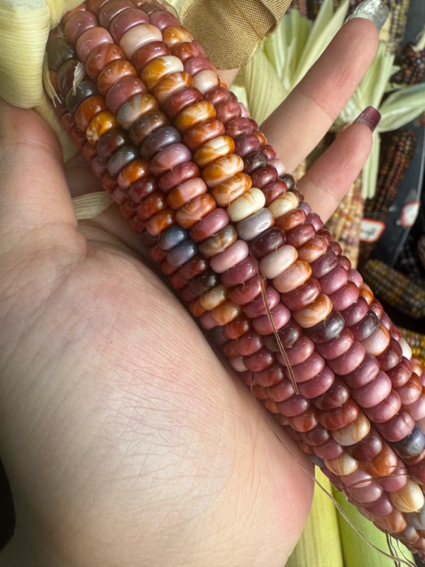 湿料盒子 100米4根 不退不换