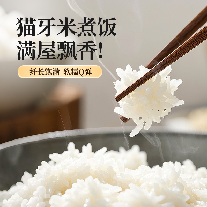 猫牙香米新米10斤20斤50斤营养丰富清香软糯适合煮饭煲仔饭