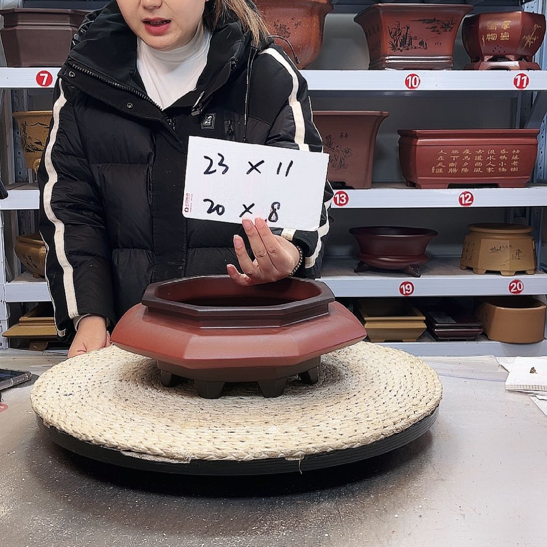 花盆紫砂紫砂花盆里