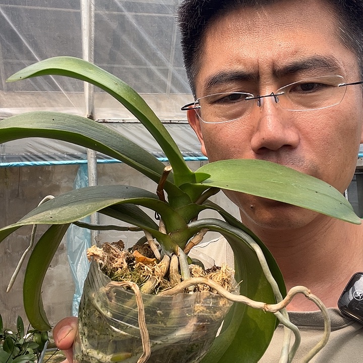 完全开放胭脂福利款不售后