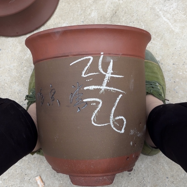 紫砂花盆紫砂的花