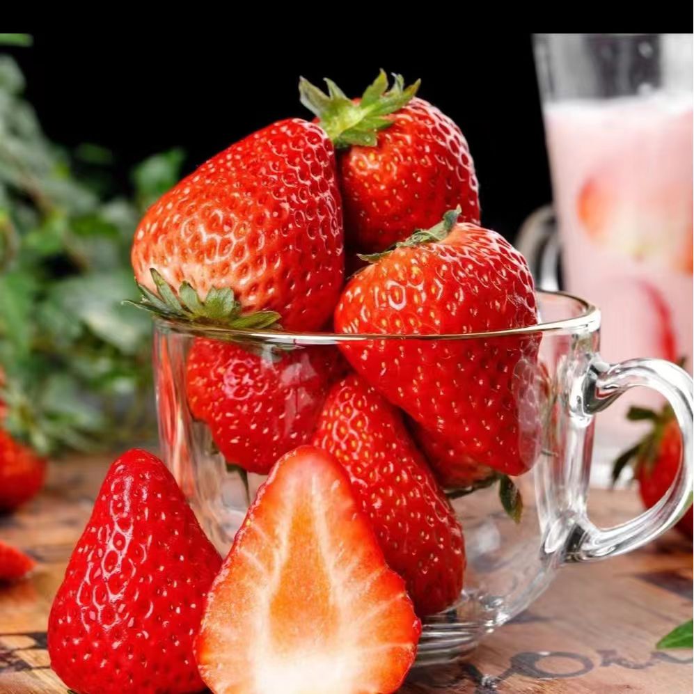 【韩宇专属】顺丰包邮丹东九九草莓头茬果红颜每日现摘现发丹东草莓