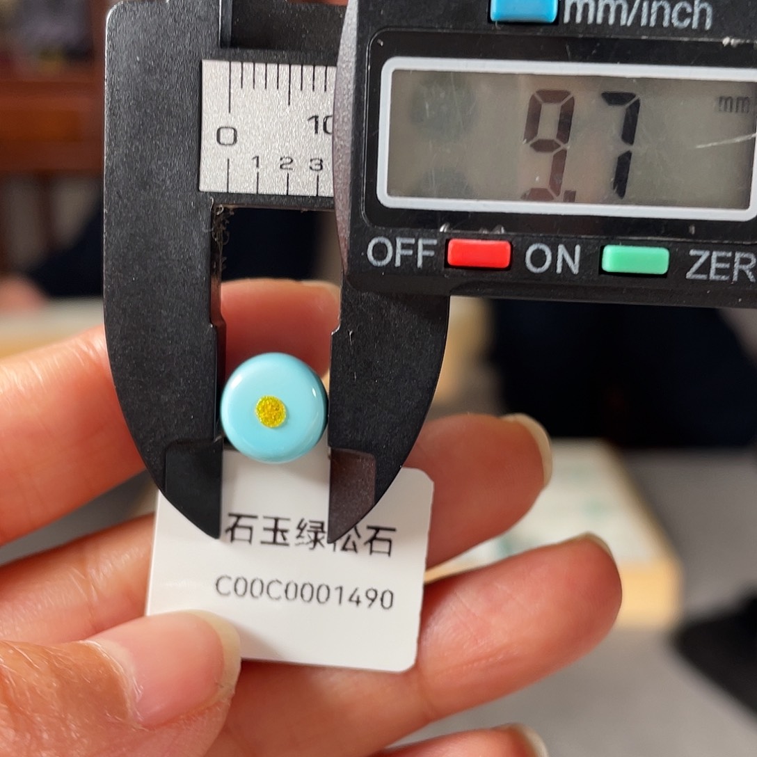 绿松石颈饰未镶嵌