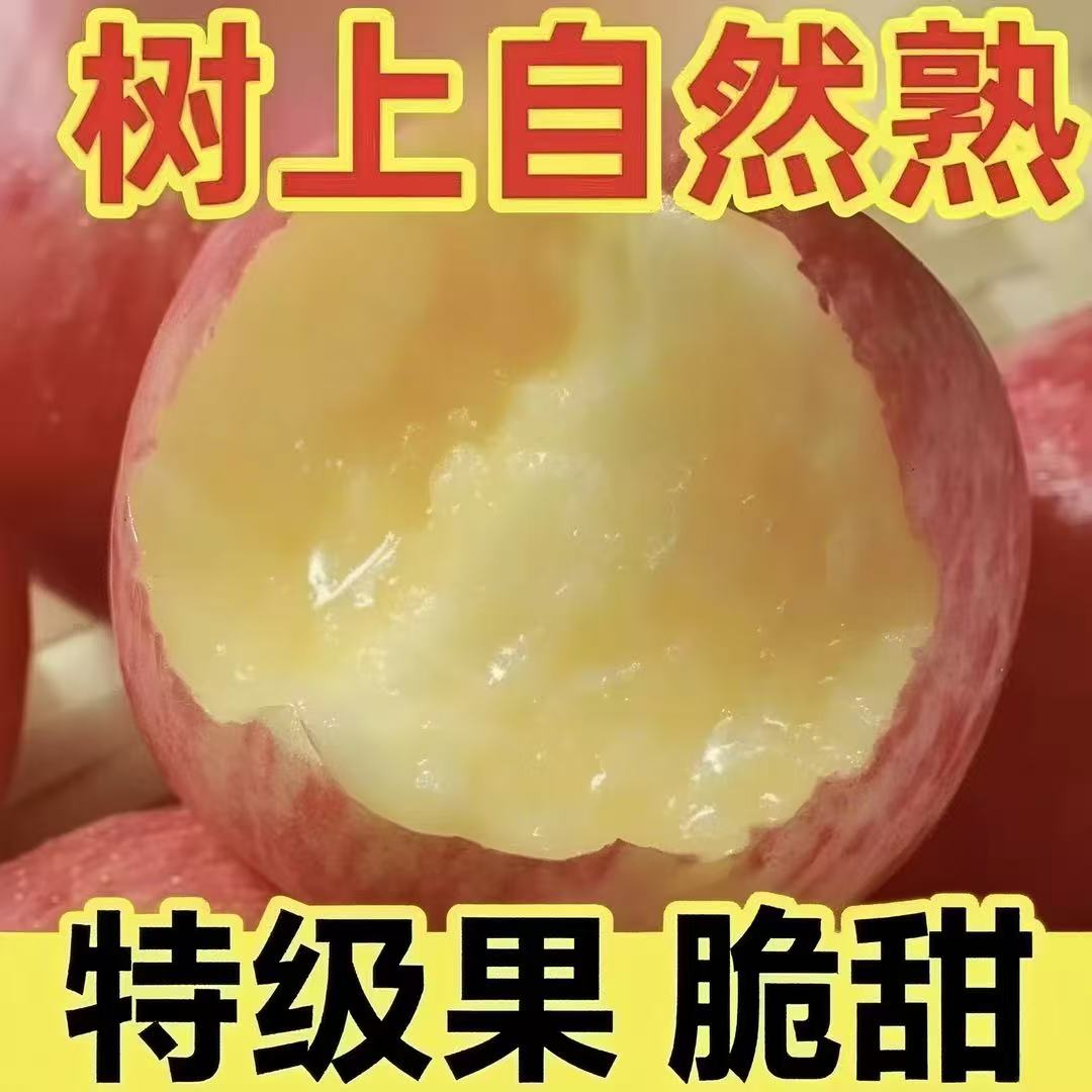 陕西礼泉红富士苹果当季现摘现发脆甜多汁新鲜产地直发4.5斤