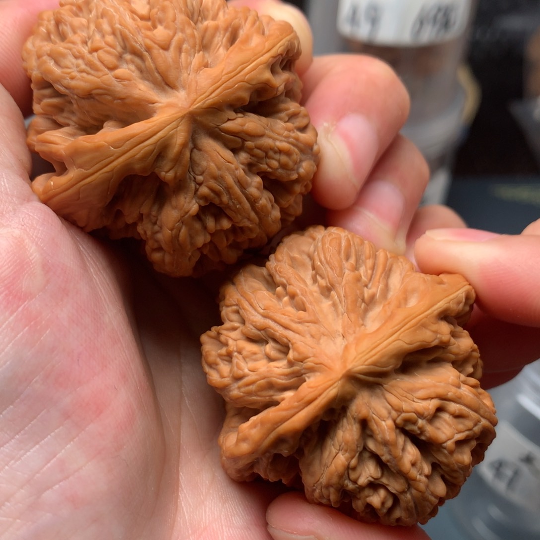 【闪购商品】桃核吊坠63.6克粗筋47-701-3