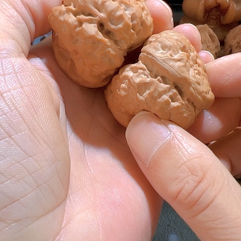 文玩核桃把件蛤蟆40