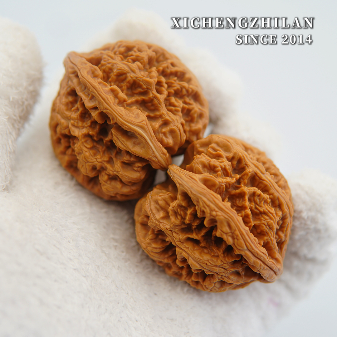 玺呈枝蓝玺呈枝蓝平谷大粗筋