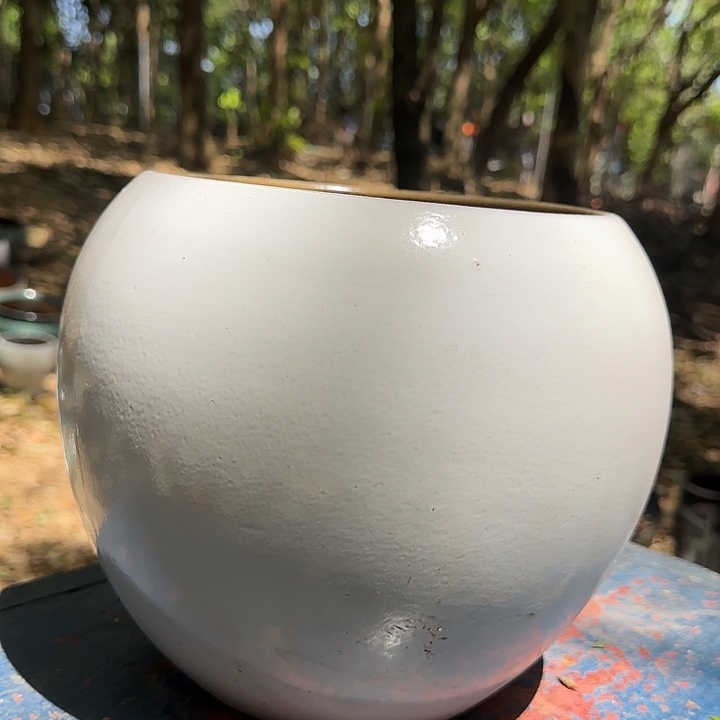 完全开放紫砂花盆高 22口19