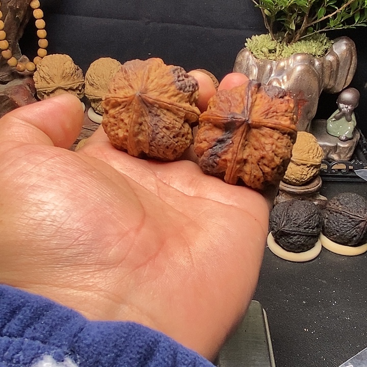 吊坠文玩核桃云南铁核桃原产地38