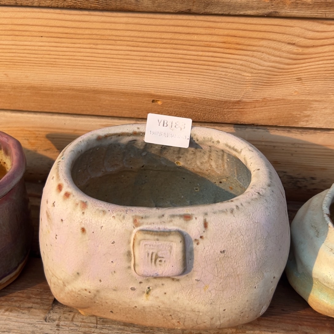 余***暖1987多肉花盆6折盆188