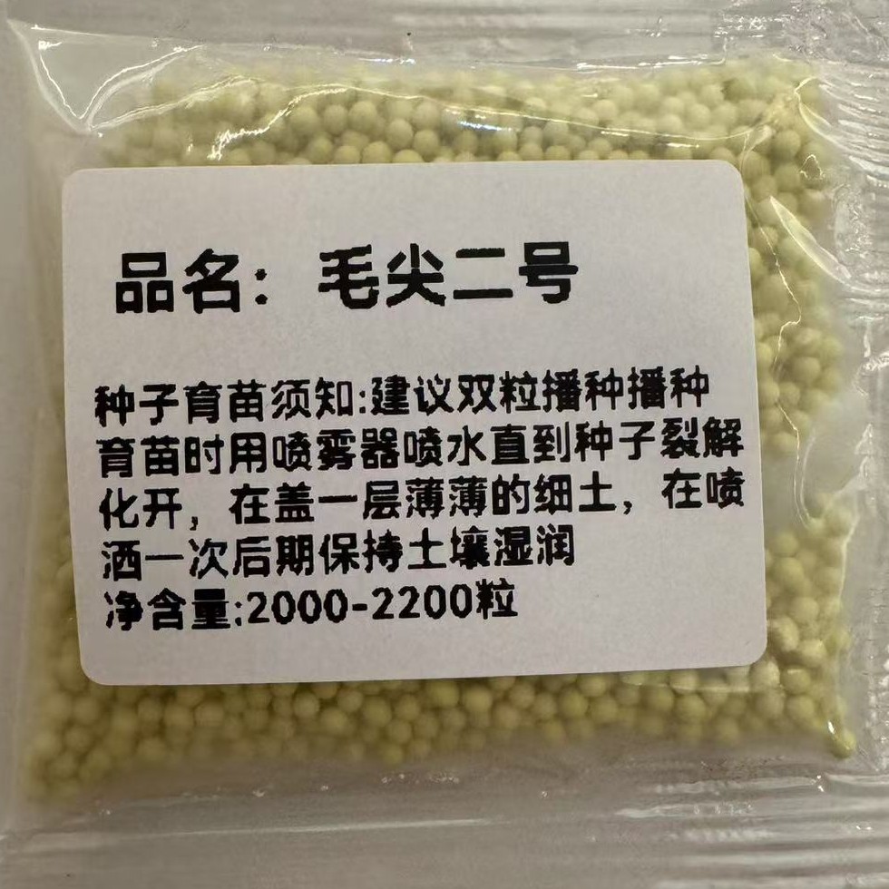 毛尖2号高抗病稳定高产且好烤重茬土也可以种植(K)