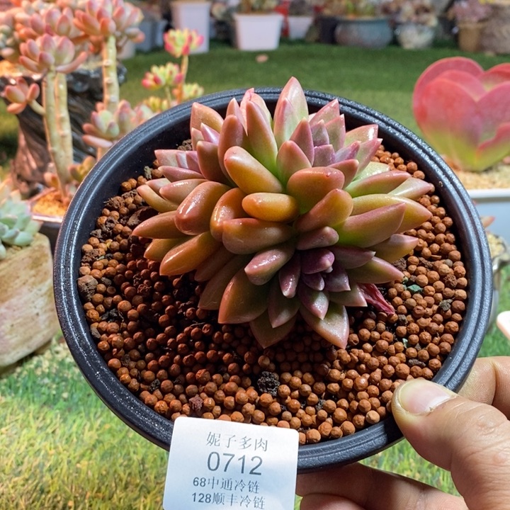 0712啊啊啊啊啊啊啊啊啊