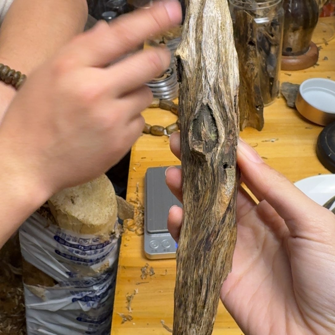 沉香沉香碎屑陆河品种块料55克