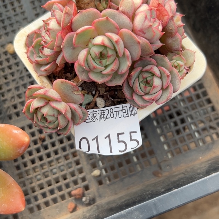 幸运的是我没有遇到过这样