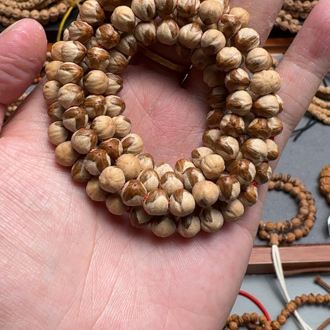 手串柏香籽/百香籽扬*55