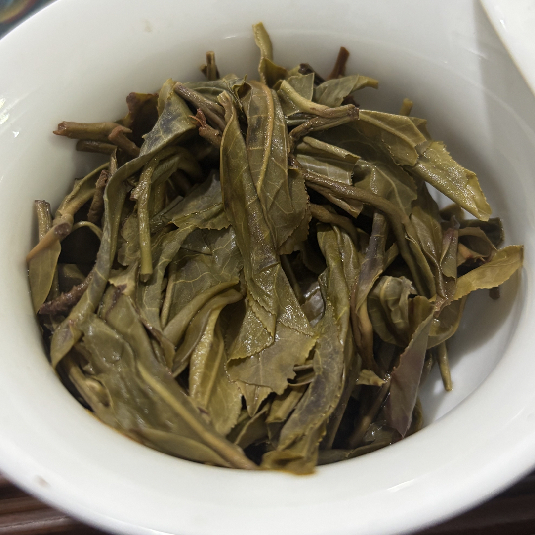 2025年正气塘春茶·大树