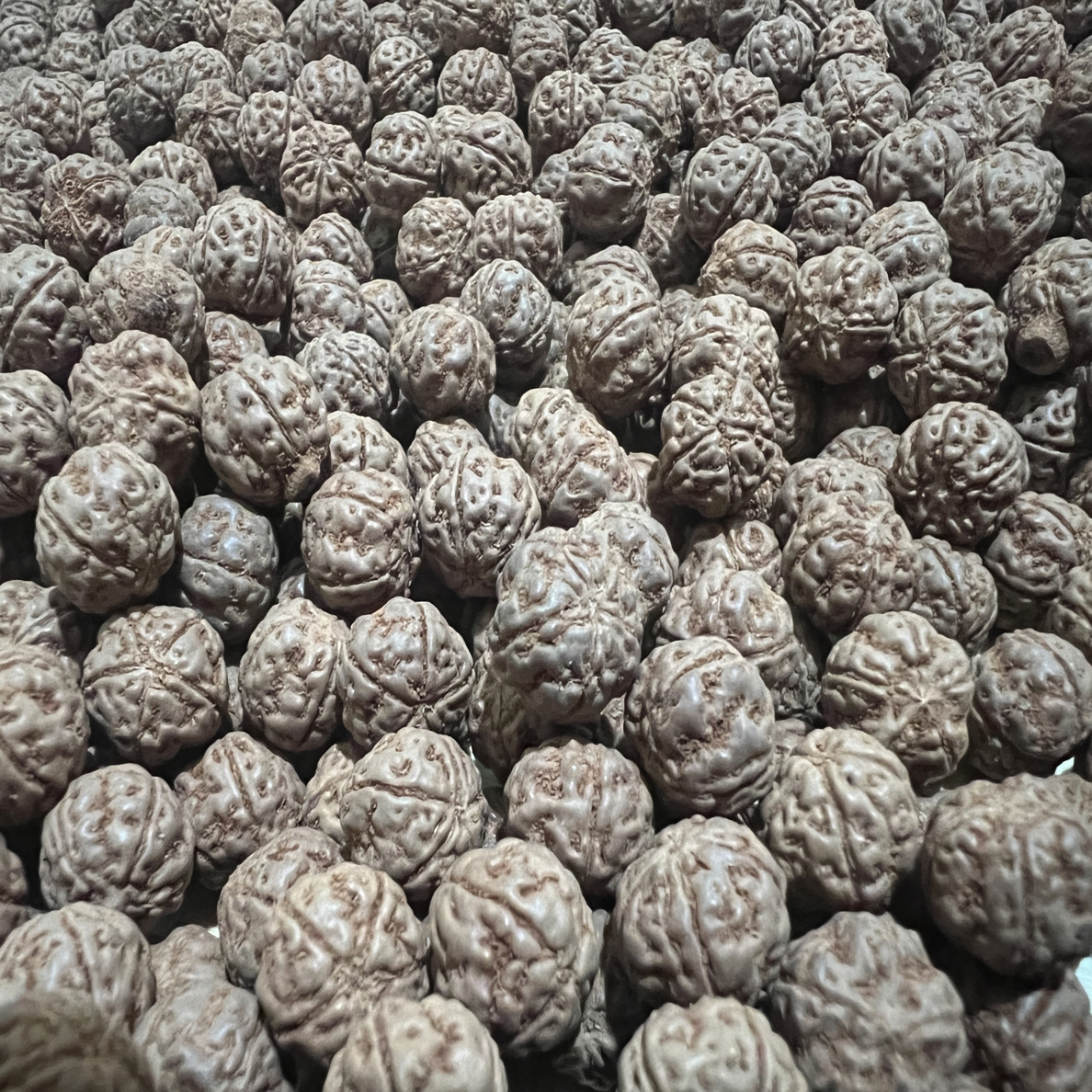 帝王花订单补单，勿拍