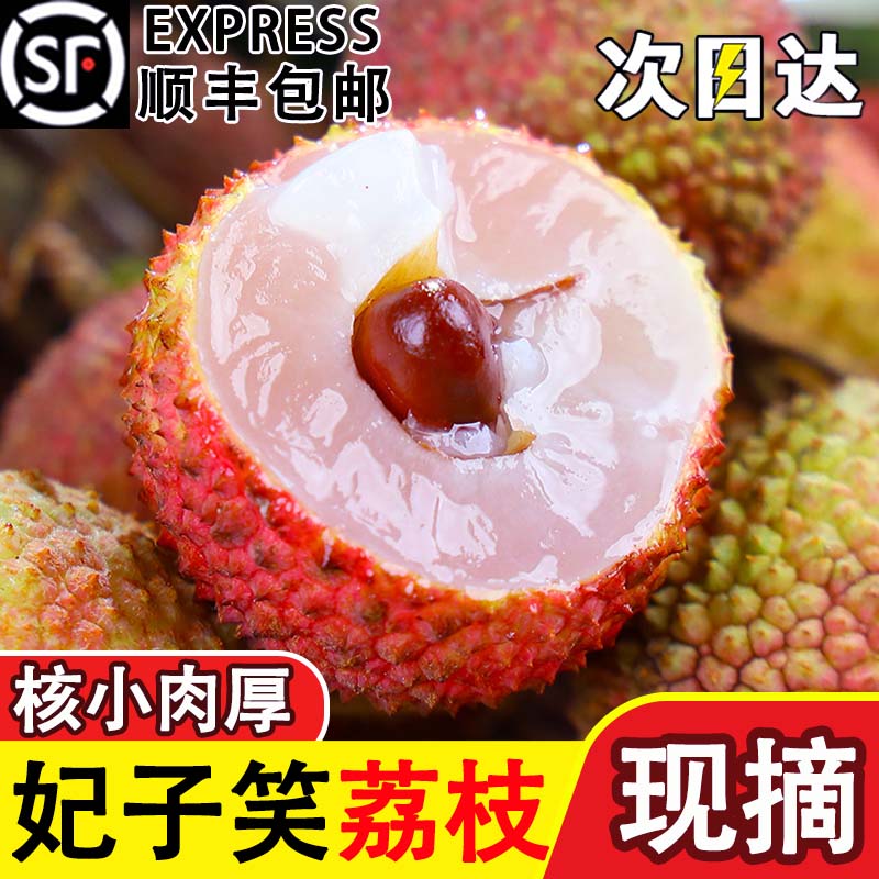 现货【明日达顺丰包邮】TY4海南直采老树荔枝新鲜水果妃子笑0.5斤-4斤装海南省