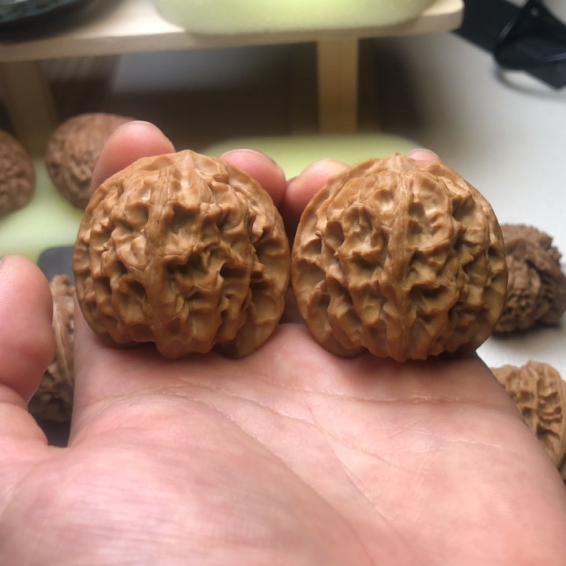 苹果园狮子头白茬全品无修毕业级精品对