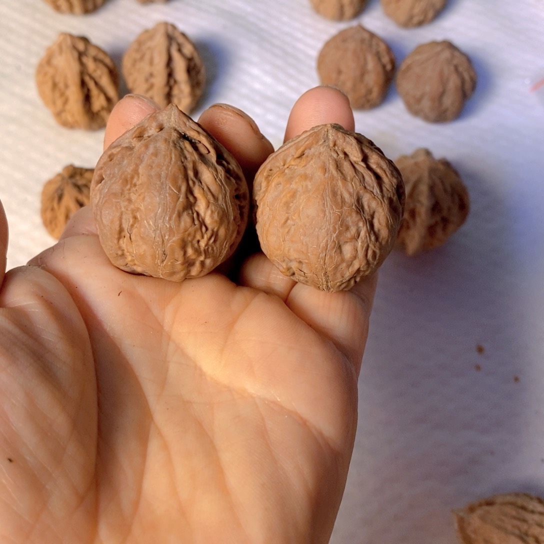 文玩核桃把件野生秋的手把文玩