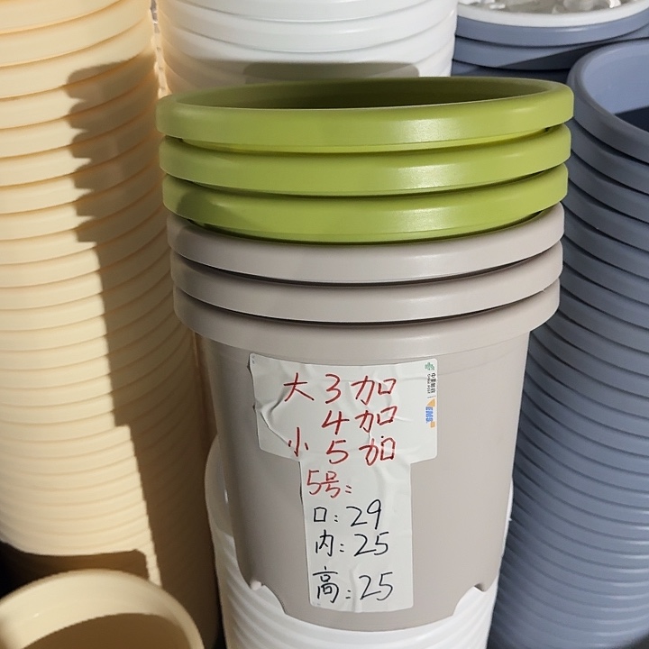 四季5#口径29灰白5个无托