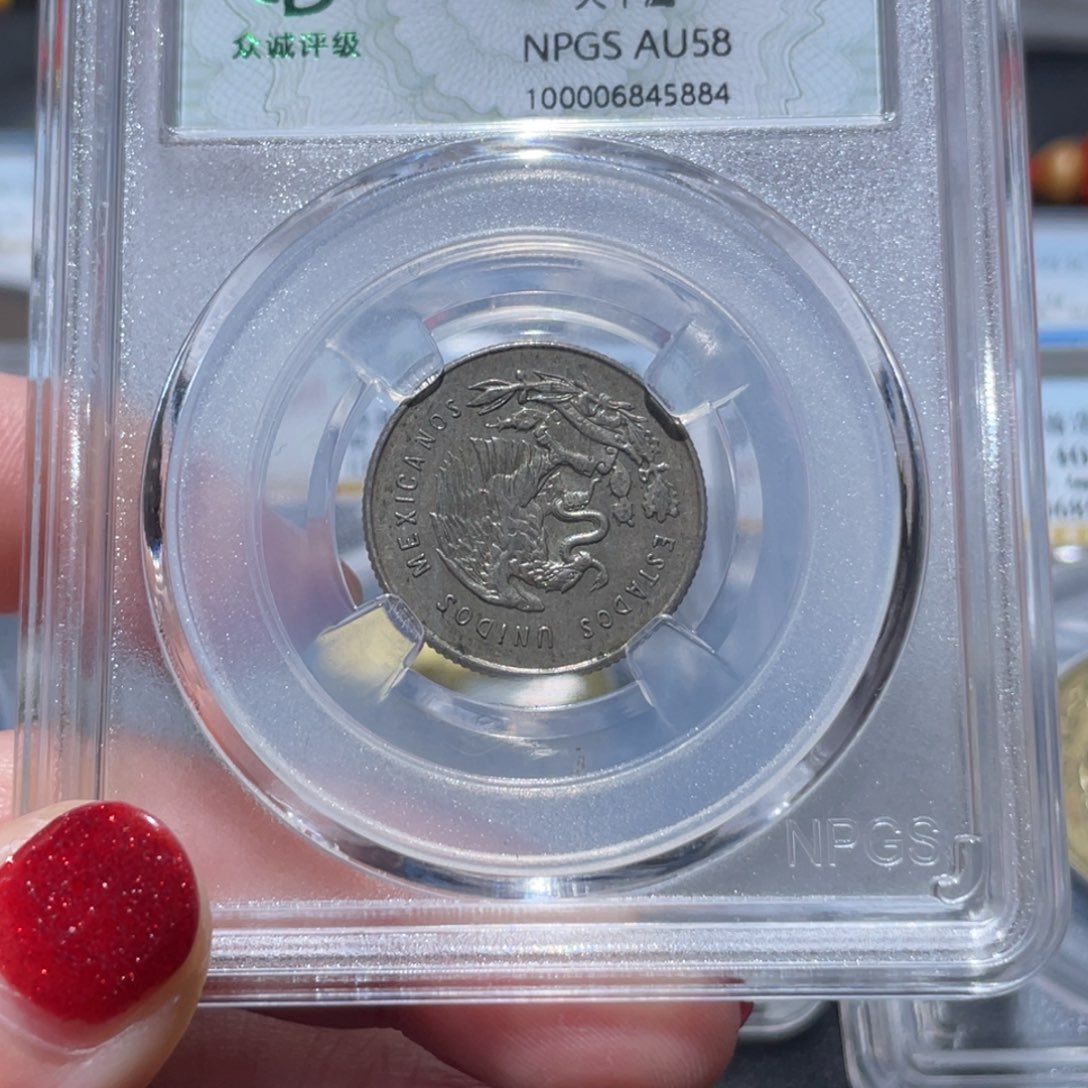 金属通古博今姚姚5884