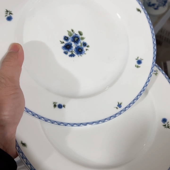 杯八寸老标韩国菊平盘