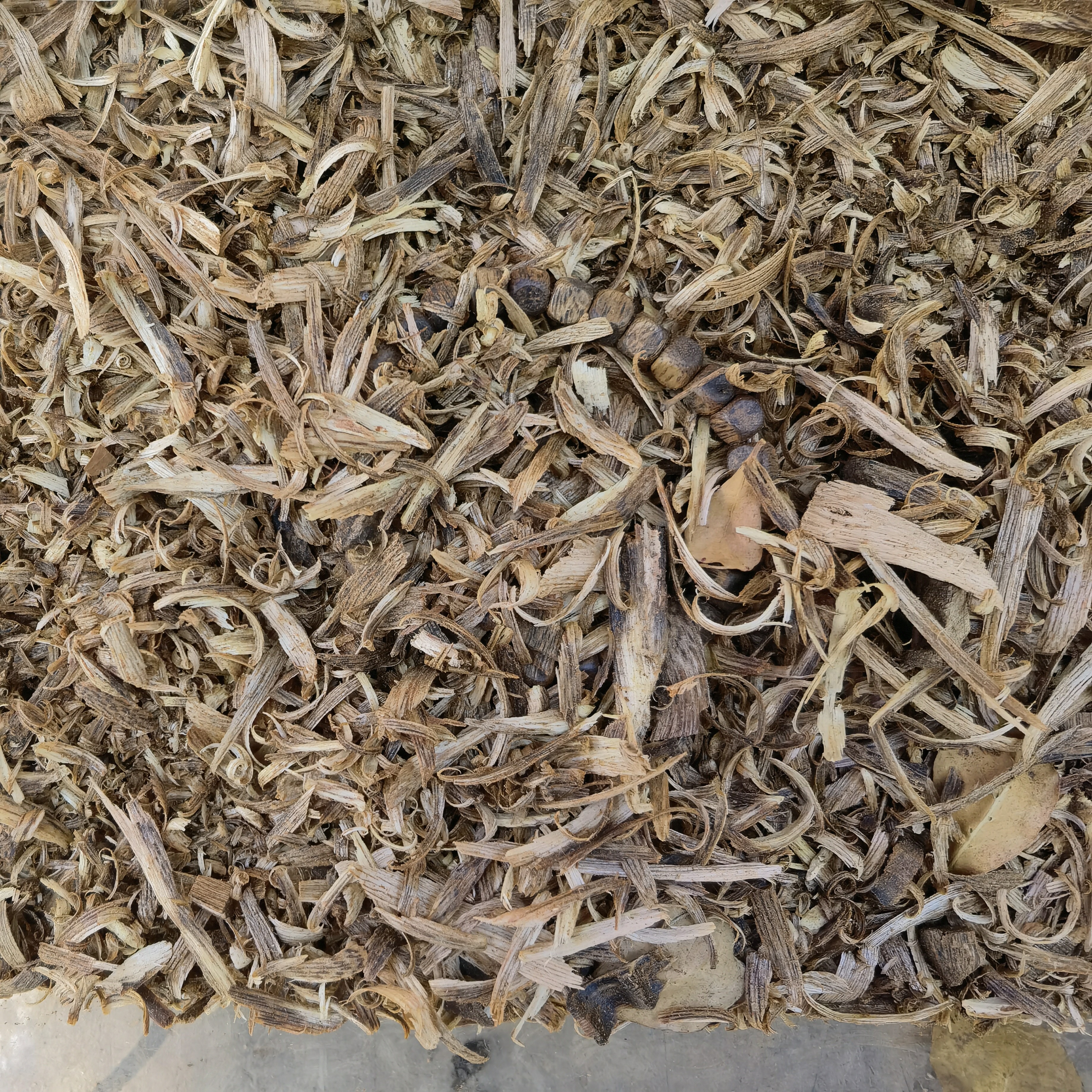 绿奇楠沉香碎块多样性发货