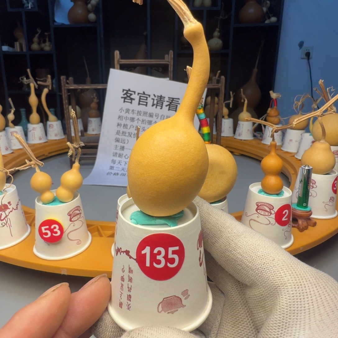 闪电购自助下单编号135