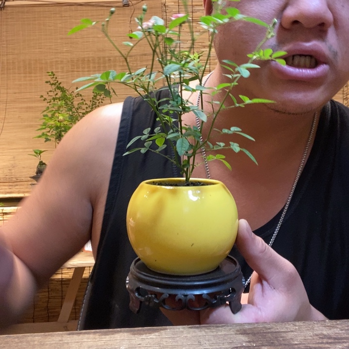 一物一拍所见即所得634