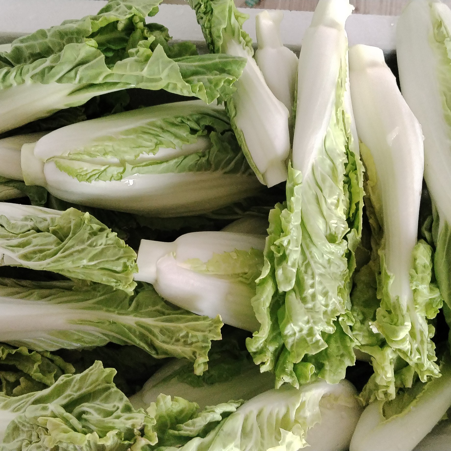 益阳农家自种露天青口白菜苔心新鲜应季高山大白菜芽心