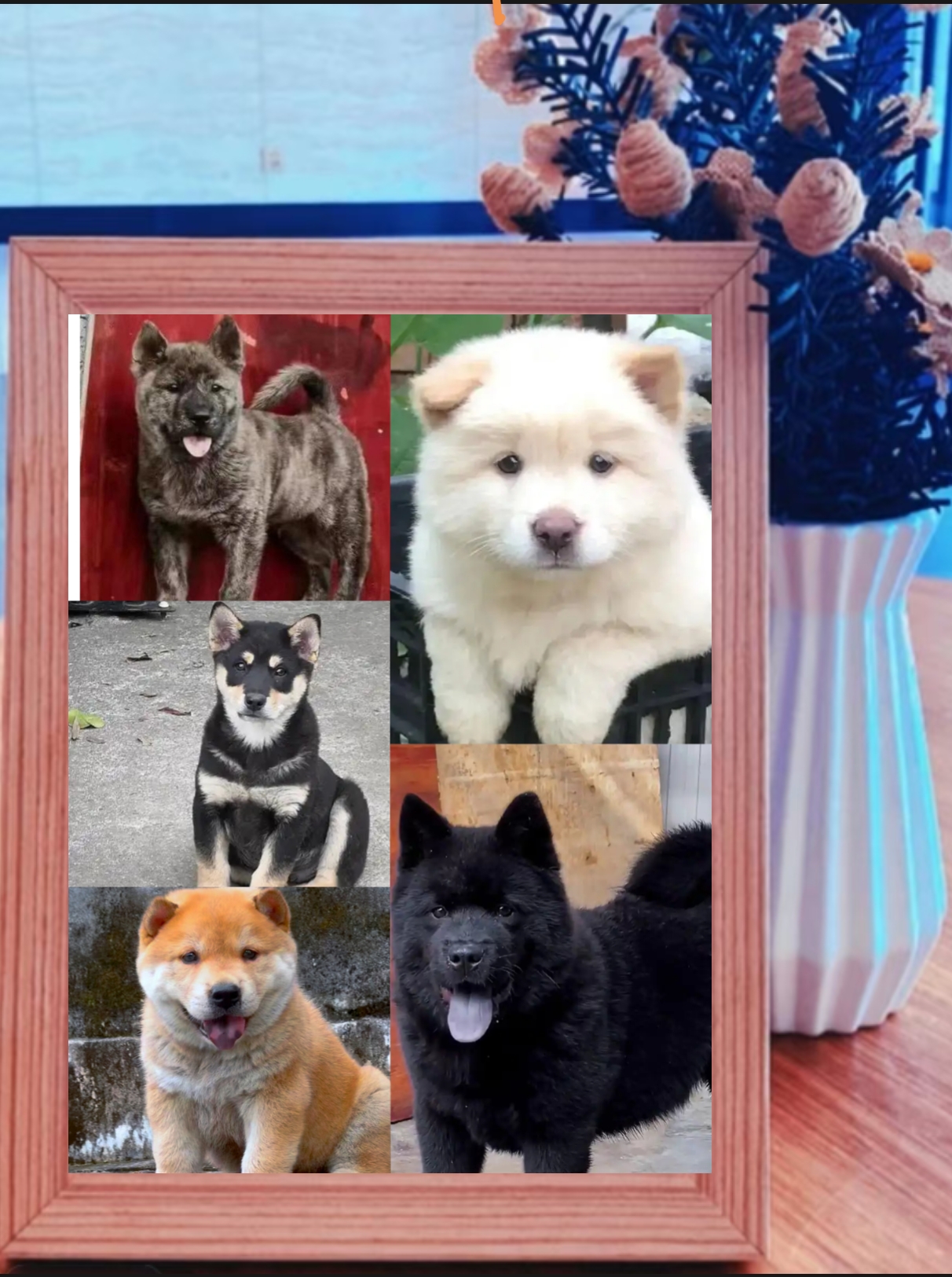 纯正田园犬相册相框定制