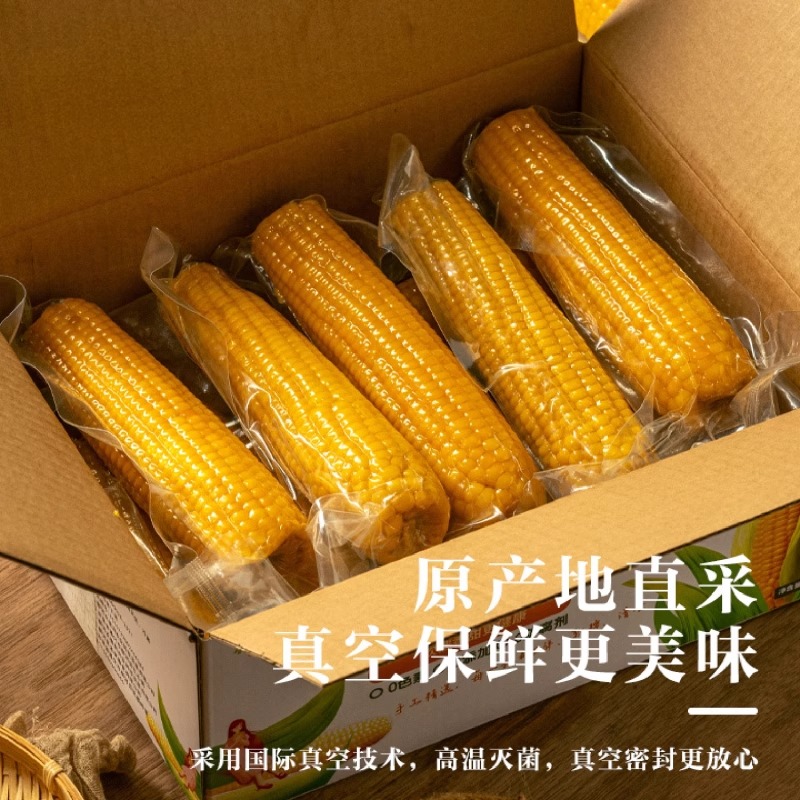 【可试吃两根】东北黄糯玉米当代餐糯玉米真空包装黏玉米整箱14根