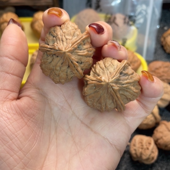 吊坠文玩核桃5龟甲文三棱