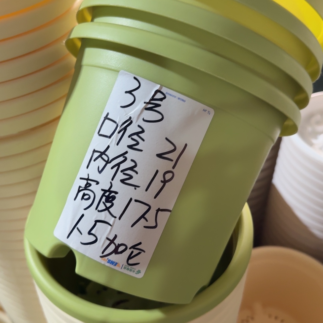 四季3#无拖果绿10个