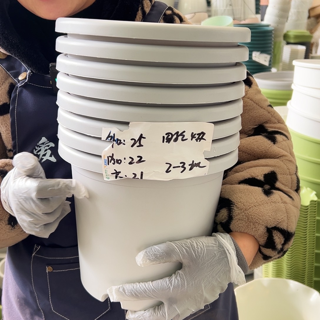 四季盆4#灰白色8个无托