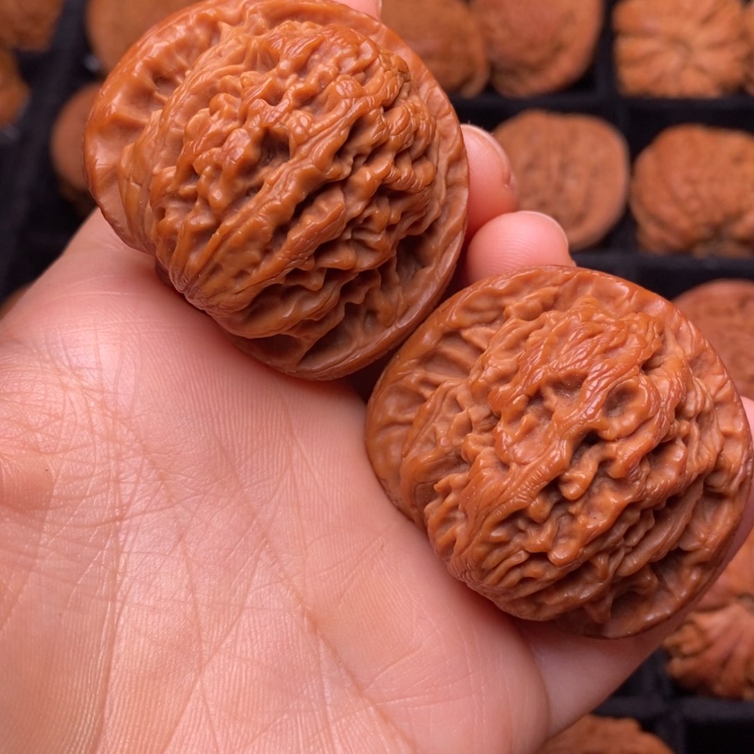 文玩核桃把件秦岭野生核桃